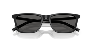 Black/basalt Horn / Dark Grey (29O20Z)