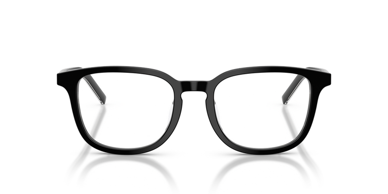 Prada PRD21VD in Black/basalt Horn - Alternate View