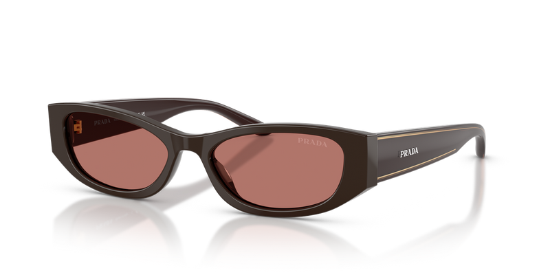Prada PRD22SF in Cigar - Alternate View