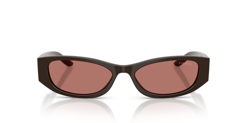 Prada PRD22S in Cigar - Alternate View