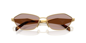 Gold / Light Purple Brown (5AK20I)
