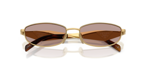 Gold / Light Purple Brown (5AK20I)