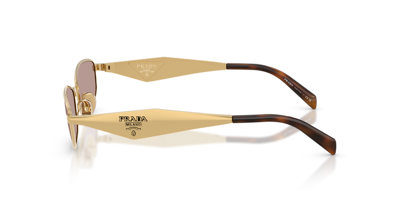 Prada PR D51S in Gold / Light Purple Brown (5AK20I) - Back View