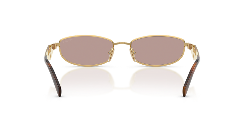 Prada PR D51S in Gold / Light Purple Brown (5AK20I) - Temple Detail