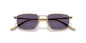 Brass / Violet (7OE70W)