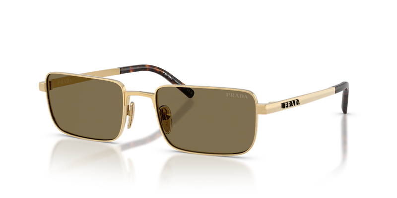 Prada PR D54S in Satin Gold / Light Brown (24J90F) - Alternate View