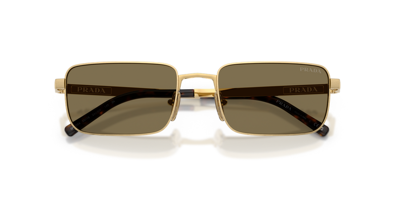 Prada PR D54S in Satin Gold / Light Brown (24J90F) - Alternate View