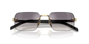 Pale Gold / Blue Mirror Silver (ZVN60W)