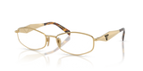 Gold / Demo Lens (5AK1O1)