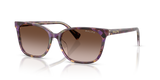 Violet Havana/Transparent / Gradient Brown (630313)