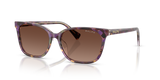 Violet Havana/Transparent / Polarized Gradient Brown (6303T5)
