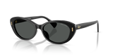 Shiny Black / Grey (500187)