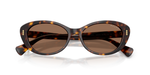 Dark Havana / Brown (500373)