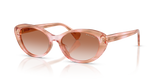 Rose Havana Brown / Gradient Brown (634113)
