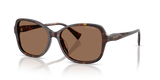 Shiny Dark Havana / Brown (500373)