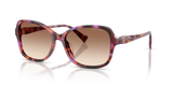 Violet Havana / Gradient Brown (623913)