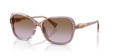 Striped Brown / Gradient Violet (634068)