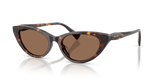 Shiny Dark Havana / Brown (500373)