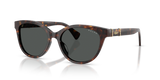 Brown Havana / Grey (500387)