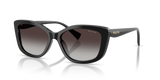 Black / Gradient Grey (50018G)