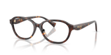 Havana Brown / Demo Lens (5003)