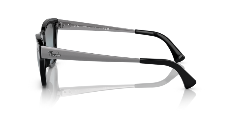 Ray-Ban RB0707SM in Black - Back View