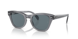 Transparent Grey / Dark Blue Polarized (66413R)