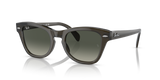 Transparent Olive Green / Grey (664271)