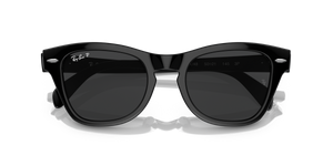 Black / Black Polarized (901/48)