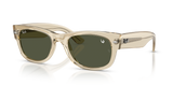 146031