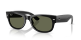 Black / Green Polarized (601/58)
