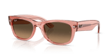 Transparent Pink / Light Brown Gradient Black (684843)