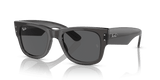 Transparent Black / Dark Grey (1406B1)