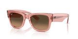 Transparent Pink / Light Brown Gradient Black (684843)