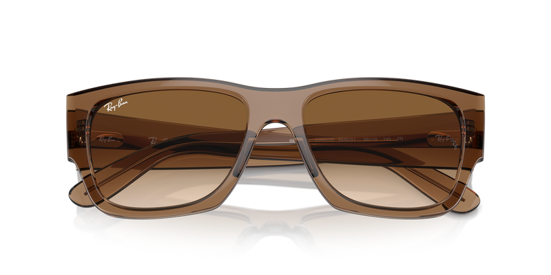 Ray-Ban CARLOS in Transparent Light Brown - Side View