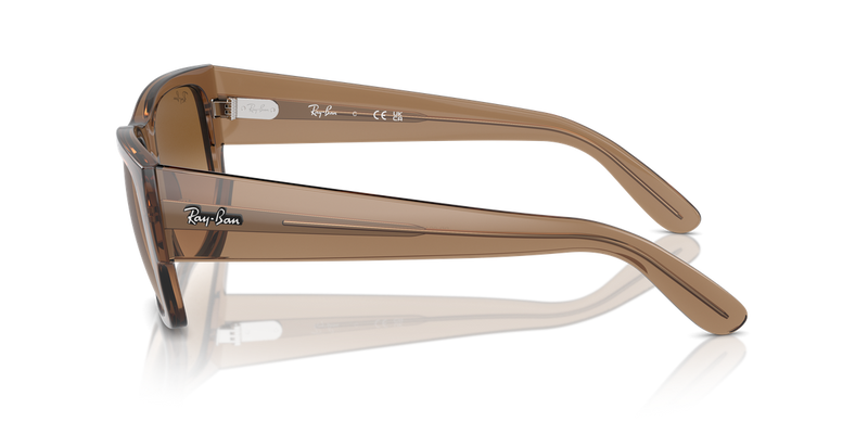 Ray-Ban CARLOS in Transparent Light Brown - Back View