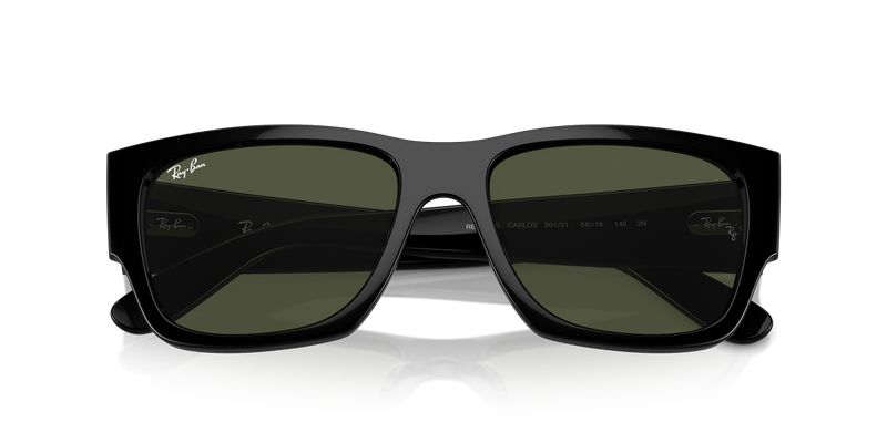 Ray-Ban CARLOS in Black - Alternate View