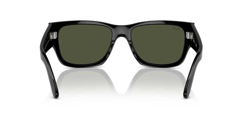 Ray-Ban CARLOS in Black - Alternate View