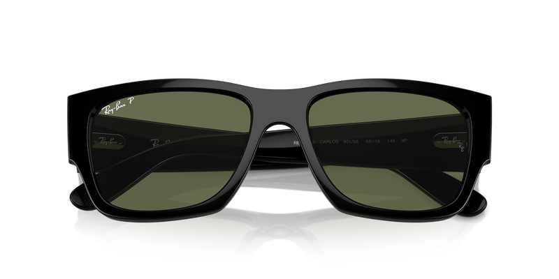 Ray-Ban CARLOS in Black - Alternate View