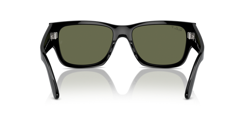 Ray-Ban CARLOS in Black - Alternate View