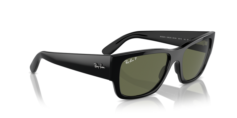 Ray-Ban CARLOS in Black - Alternate View