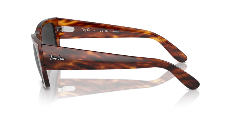 Ray-Ban CARLOS in Striped Havana - Alternate View