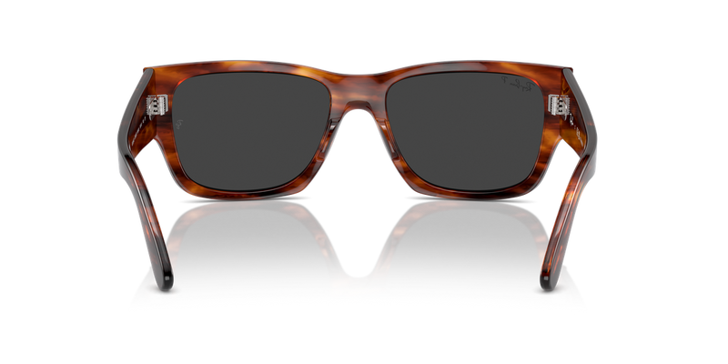 Ray-Ban CARLOS in Striped Havana - Alternate View