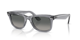 Transparent Grey / Light Grey Gradient Dark Grey (684671)