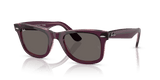 Violet On Transparent Pink / Dark Grey (1447B1)