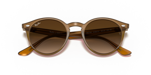 Light Brown / Brown Gradient (616613)
