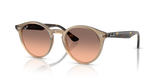 Turtledove / Pink Gradient Grey (678846)