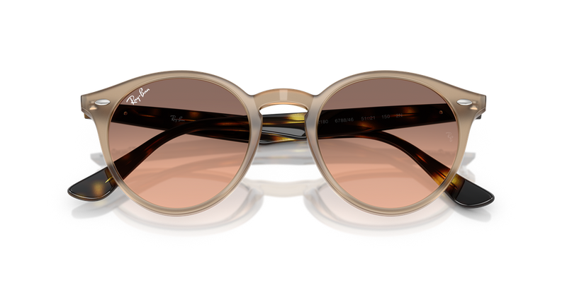 Ray-Ban RB2180 in Turtledove / Pink Gradient Grey (678846) - Alternate View