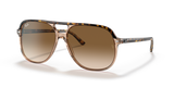 Havana On Transparent Brown / Light Brown Gradient (129251)