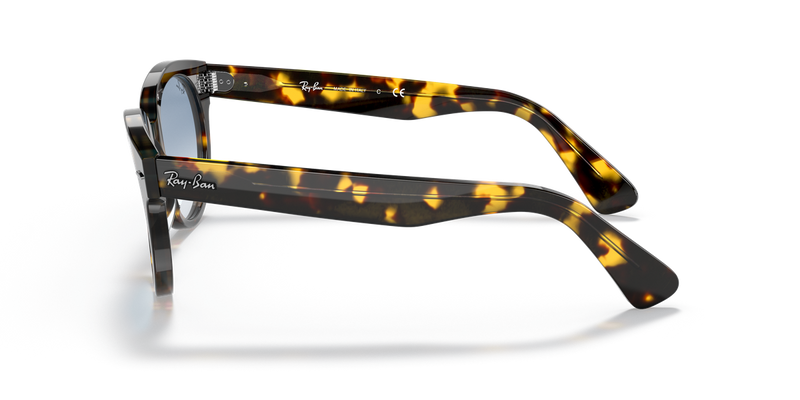 Ray-Ban ORION in Yellow Havana - Back View